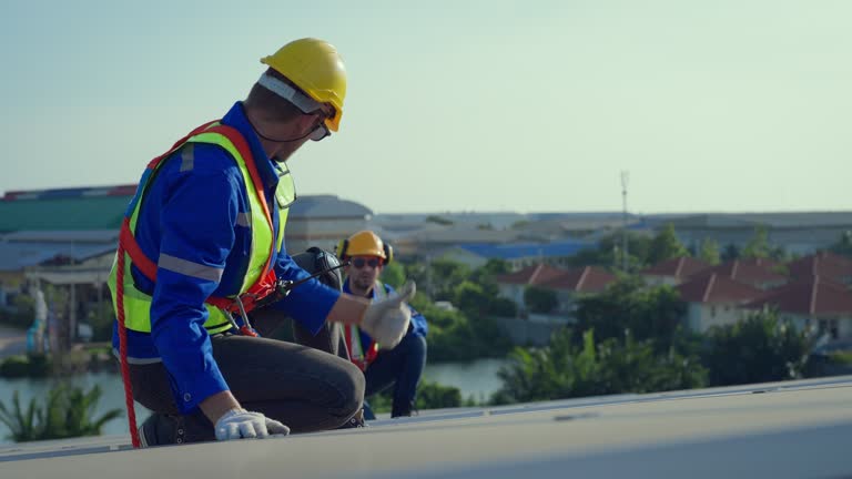 Best Roof Maintenance and Cleaning  in Brandon, SD